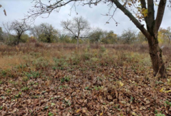 ������ �������� ������ �� ������� �������� �� ���. ��������, ����� 27 ����� ���� 1