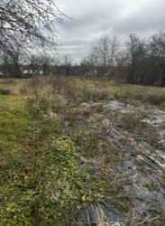 �������� ������ ���� 6