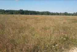 ������ �������� ������ ��������������������� �����������, ����� 0.06 �� ���� 2