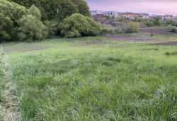 ������ �������� ������ �� ������� �������� �� ���. ��������, ����� 19 ����� ���� 1