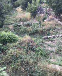 ������ �������� ������ �� ������� �������� �� ���. ������������, ����� 5 ����� ���� 3