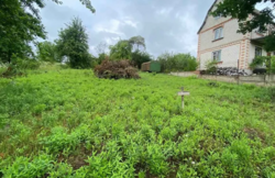 ������ �������� ����� ���� 2