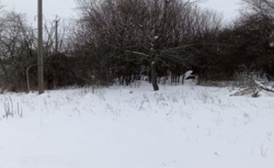 ������ �������� ������ ���� 4