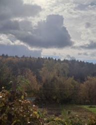 ������ �������� ������ ���� 4