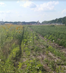 ������ �������� ������ �� ������� �������� ���� 1