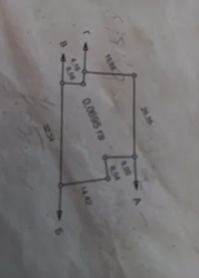 ��������� ������ ���������� ����, ³�����, ³�������, ���������, ³������ ������ ���� 5