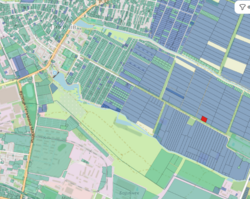 ������ �������� ������ 42 ����� ���� 7