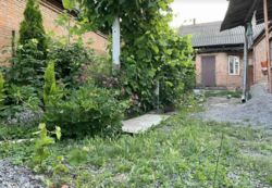 ������ �������� ������ �� ������� �������� �� ���. ����������� 37, ����� 10 ����� ���� 1