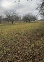 �������� ������ ���� 1