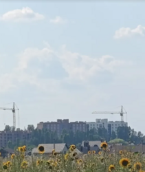 ������ �������� ������ �� ������� �������� ���� 3