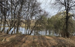 ������ �������� ������ ���� 5