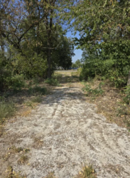 ������ �������� ������ ��������������������� �����������, ����� 8 ����� ���� 3