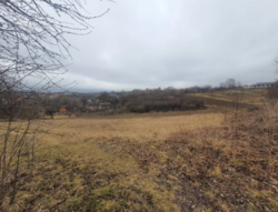 ������ �������� ������(�� �����������) 24 �. �. �������� ���� 2