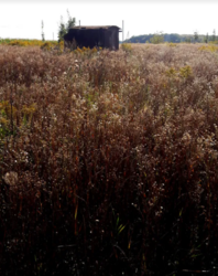 ������ �������� ������ �� ������� ��������, ����� 8 ����� ���� 1