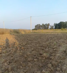 ������ ������ ������ ���� 2