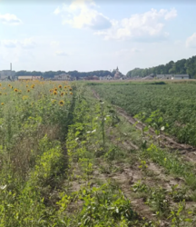 ������ �������� ������ �� ������� �������� ���� 5