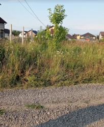 ������ �������� ������ �� ������� �������� �� 3-� ����. ������� ��������, ����� 9 ����� ���� 4