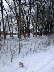 ������ �������� ������ ���� 5