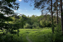 ������ �������� ������ ��������������������� �����������, �� �� �����������, ����� 0.0423 �� ���� 3