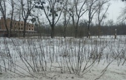 ������ �������� ������ ������������ �������� ���� 1