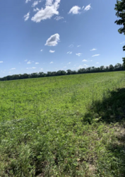 ������ �������� ������ 42 ����� ���� 6