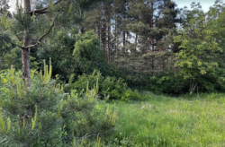 ������ �������� ������ ��������������������� �����������, �� �� �����������, ����� 0.0423 �� ���� 1