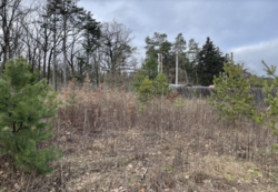 ������ �������� ������ �� ������� �������� �� ���. ����������, ����� 6 ����� ���� 1