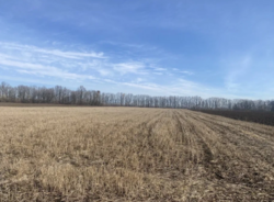 ������ ���� ���� 5