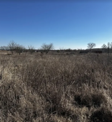 ������ �������� ������ �� ������� �������� ���� 2