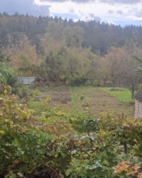 ������ �������� ������ ���� 3