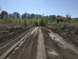 ���������� �� �������� ������ �� 8 ��� ���� 6