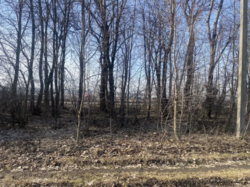 ������ ���� ���� 3