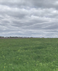 Продаж земельної ділянки під житлову забудову на вул. Головна, площа 0.1189 Га фото 3 Продаж земельної ділянки під житлову забудову на вул. Головна, площа 0.1189 Га фото 3