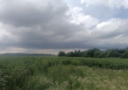 ������ ������ �� ���������� � ��������. ���� 5