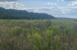 ������ �������� ������ �� ������� ��������, ����� 6 ����� ���� 1