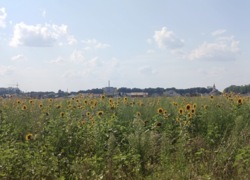 ������ �������� ������ ���� 4