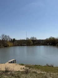 ��������� �������� ������ ��� ������ ���� 1