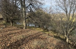 ������ �������� ������ ���� 2