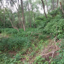 ������ �������� ������ �� ������� �������� � ��� ³������ ������, ³������� ������, ���������� ������, ����� 19 ����� ���� 6