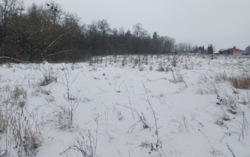 ������ �������� ������ ������������ �������� ���� 4