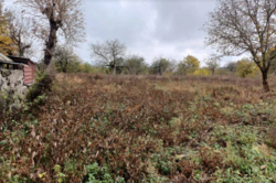 ������ �������� ������ �� ������� �������� �� ���. ��������, ����� 27 ����� ���� 2