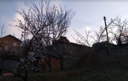 ������ �������� ������ �� ������� �������� ���� 5