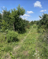 ������ �������� ������ �� ������� �������� �� ���. ������ ���������, ����� 15 ����� ���� 3