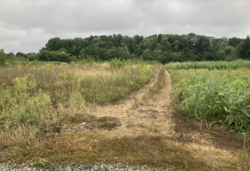 ������ �������� ������ �� ������� �������� �� 1-� ����. ���������, ����� 8 ����� ���� 2