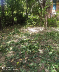 ������ �������� ������ �� ������� �������� �� 1-� ��. ���������, ����� 4.5 ����� ���� 2