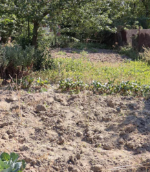 ������ �������� ������ ��������������������� ����������� ���� 2