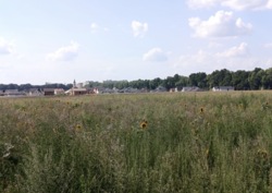 ������ �������� ������ ���� 2