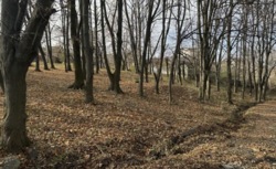 ������ �������� ������ ���� 4