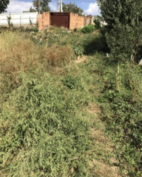 ������ �������� ������ �� ������� �������� �� ���. ������������, ����� 5 ����� ���� 4