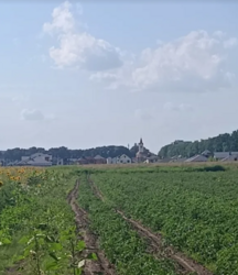 ������ �������� ������ �� ������� �������� ���� 4